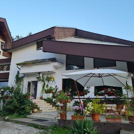 ホテル Randunica Văliug エクステリア 写真