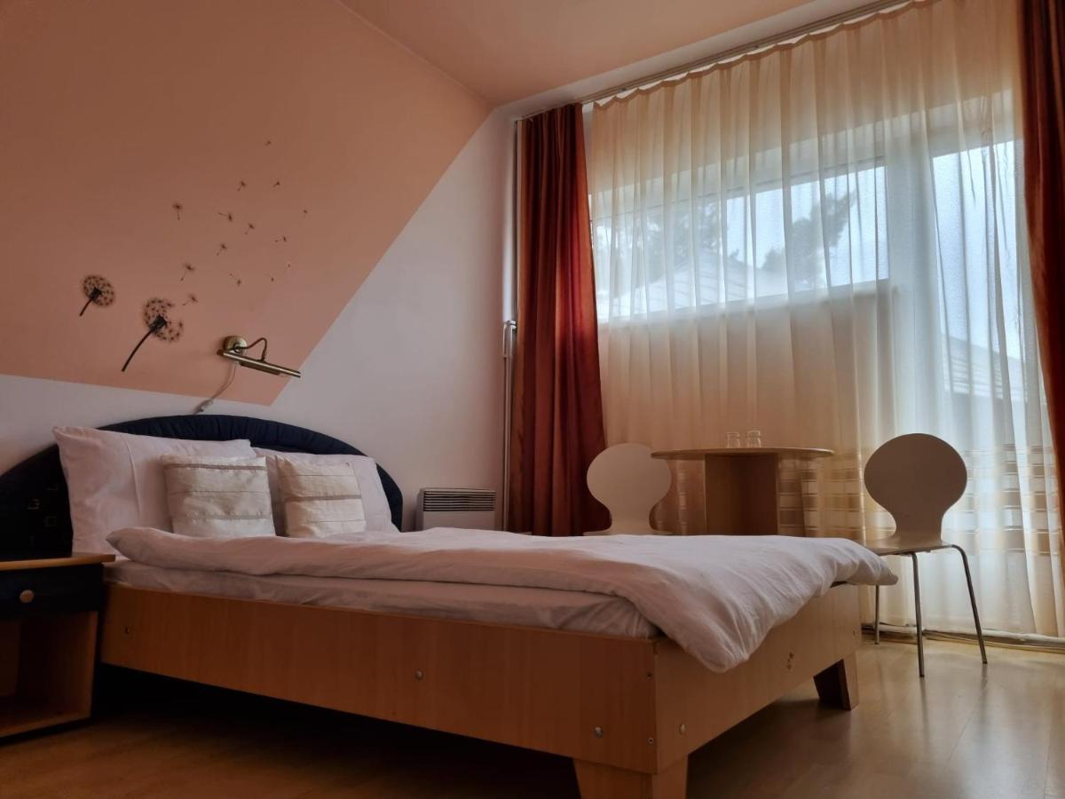 ホテル Randunica Văliug エクステリア 写真