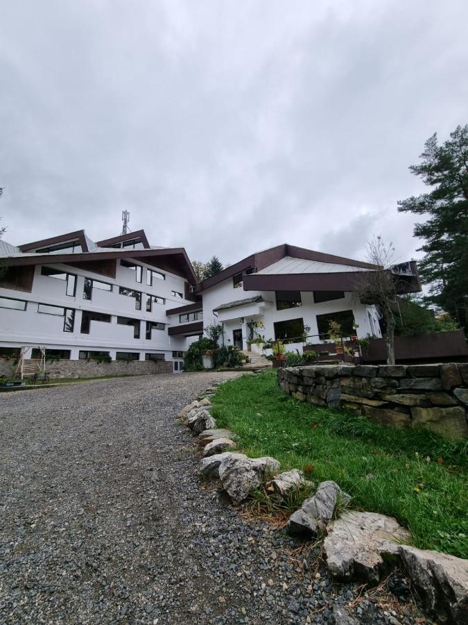 ホテル Randunica Văliug エクステリア 写真