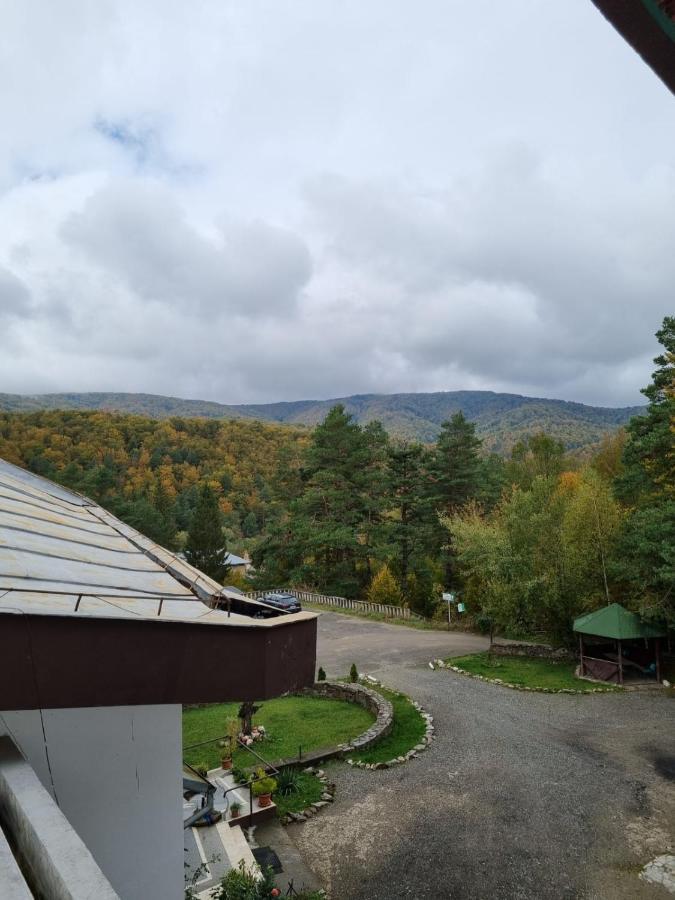 ホテル Randunica Văliug エクステリア 写真